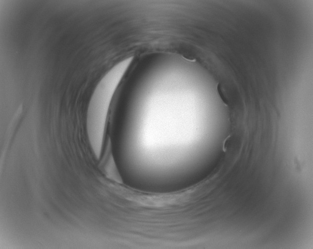 X0000082160033200702021712