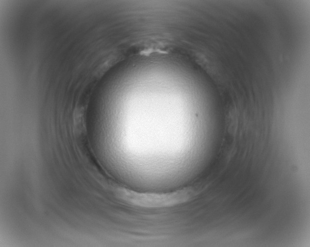 X0000082160034200702021712