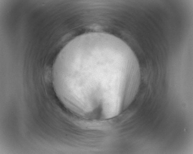 X0000082160036200702021712