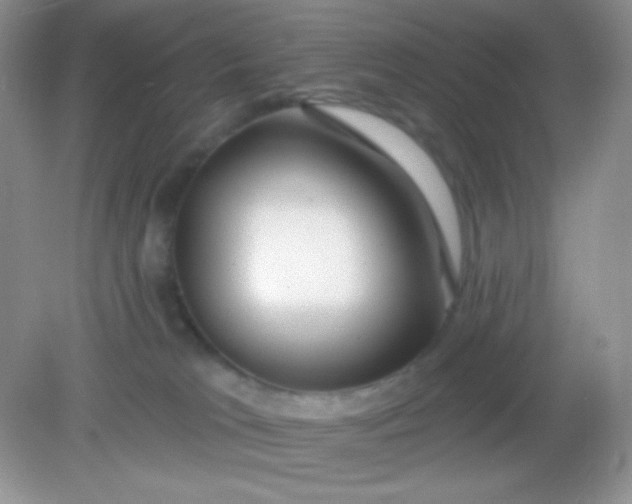 X0000082160037200702021712