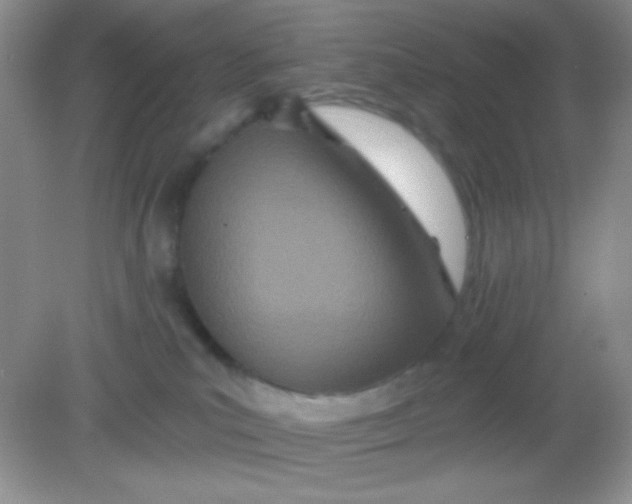 X0000082160039200702021712