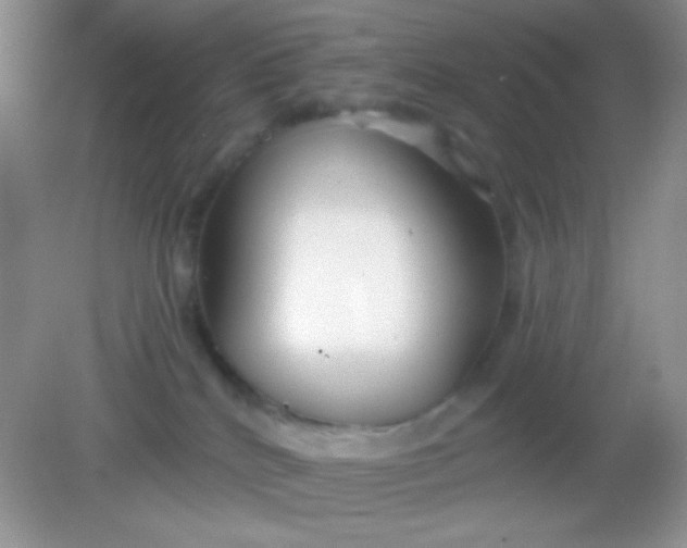 X0000082160040200702021712