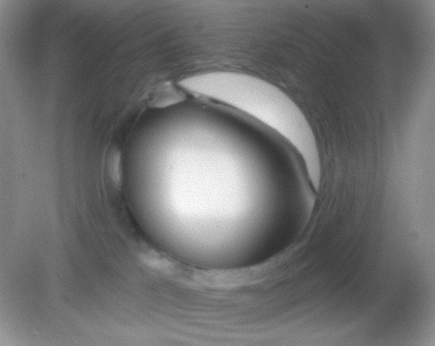 X0000082160041200702021712