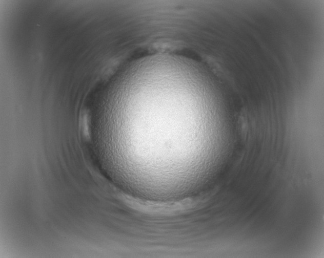 X0000082160042200702021712