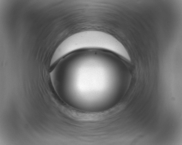 X0000082160044200702021712