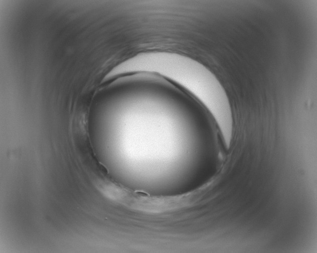 X0000082160045200702021712