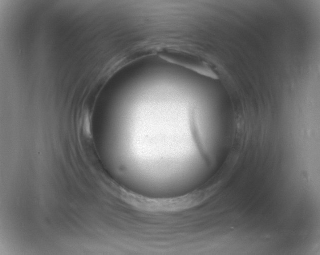 X0000082160046200702021712