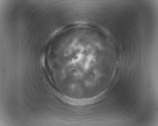 X0000082160047200702021712