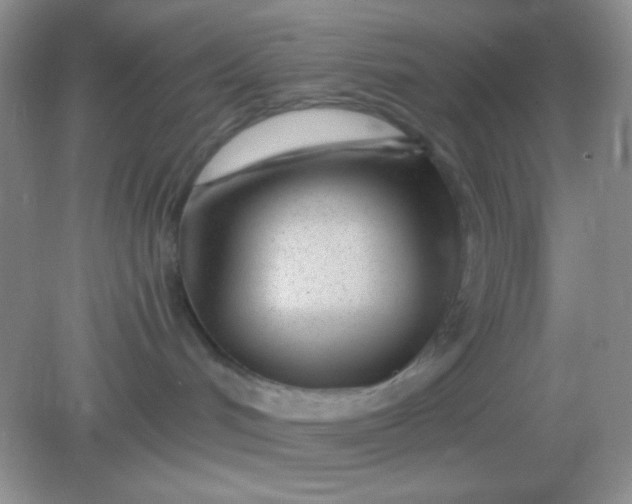 X0000082160048200702021712