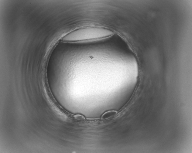 X0000082160049200702021711