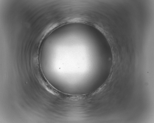 X0000082160050200702021711