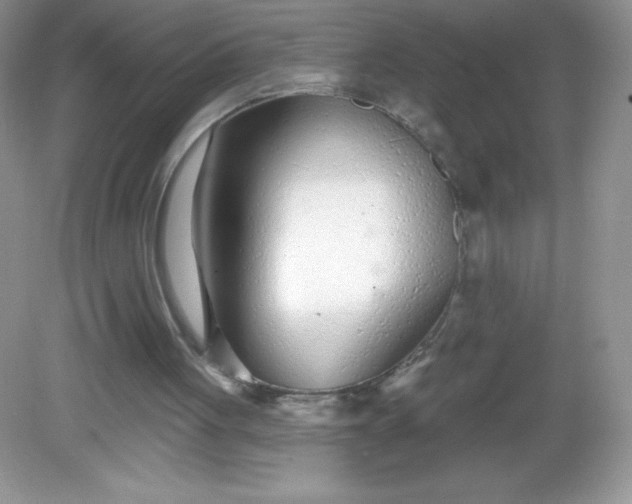 X0000082160051200702021711