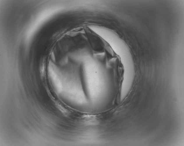 X0000082160052200702021711