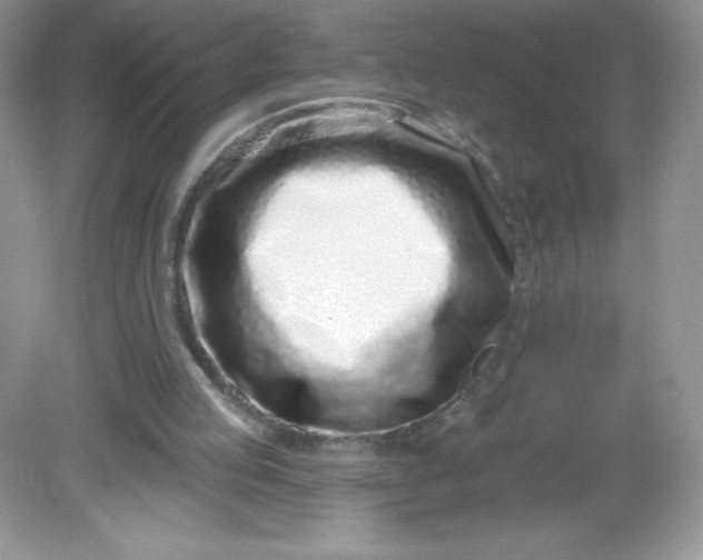 X0000082160053200702021711