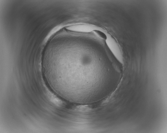 X0000082160054200702021711