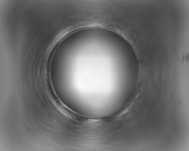 X0000082160055200702021711