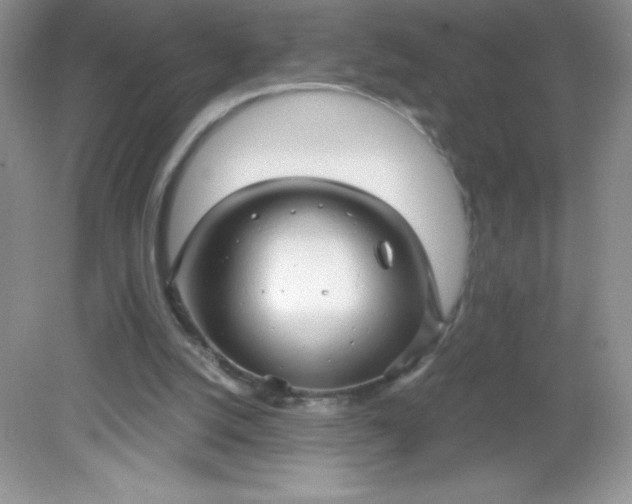 X0000082160056200702021711