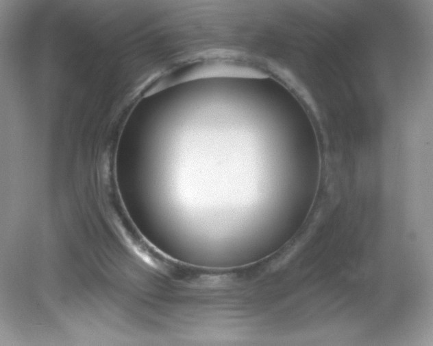 X0000082160057200702021711