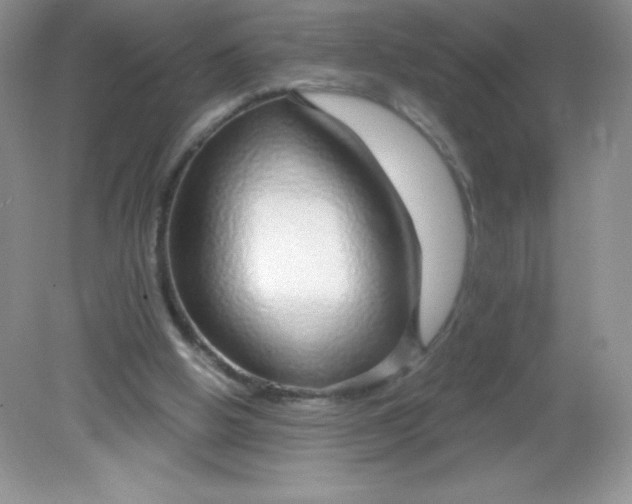 X0000082160058200702021711