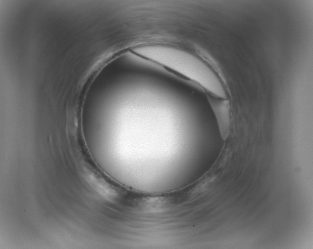 X0000082160059200702021711