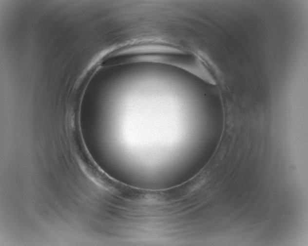 X0000082160060200702021711