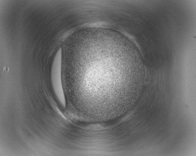 X0000082160061200702021711