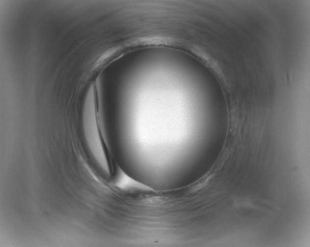 X0000082160062200702021711