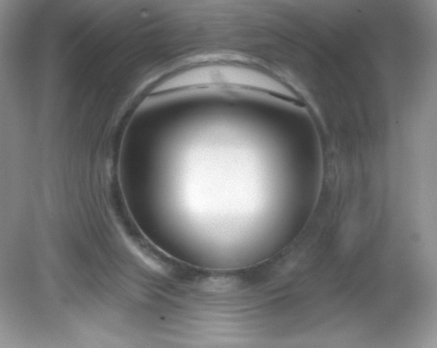 X0000082160063200702021711