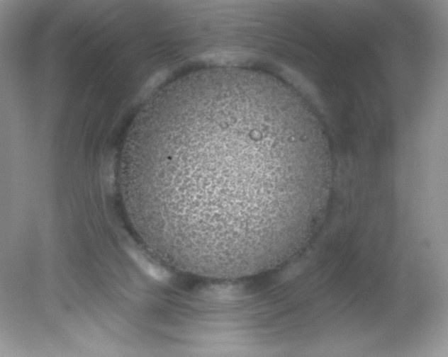 X0000082160065200702021711