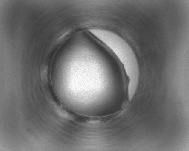 X0000082160066200702021711