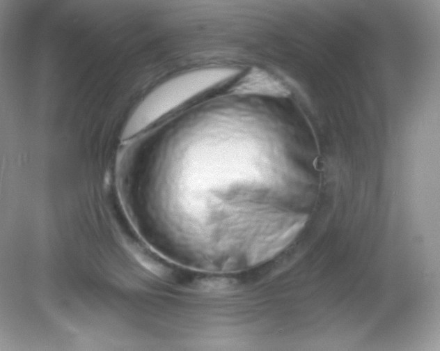 X0000082160069200702021711