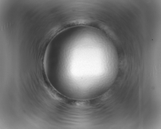 X0000082160070200702021711