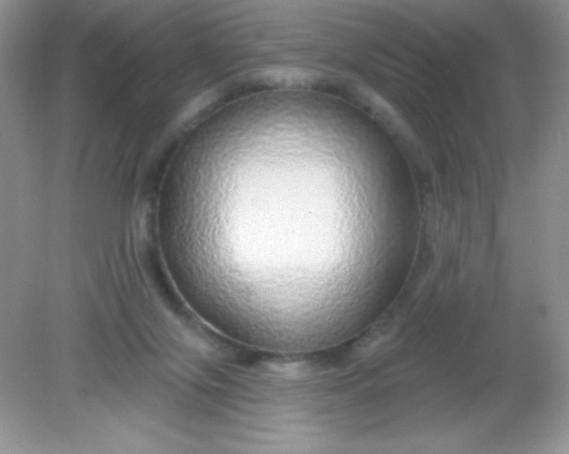 X0000082160071200702021711