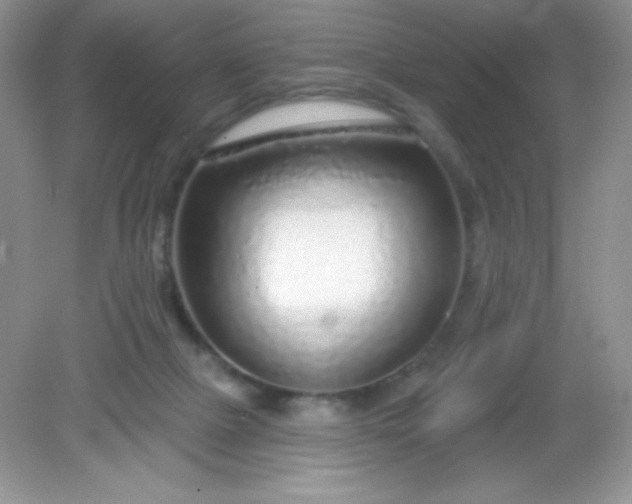 X0000082160073200702021711