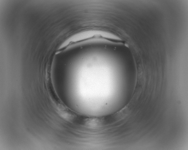 X0000082160074200702021712