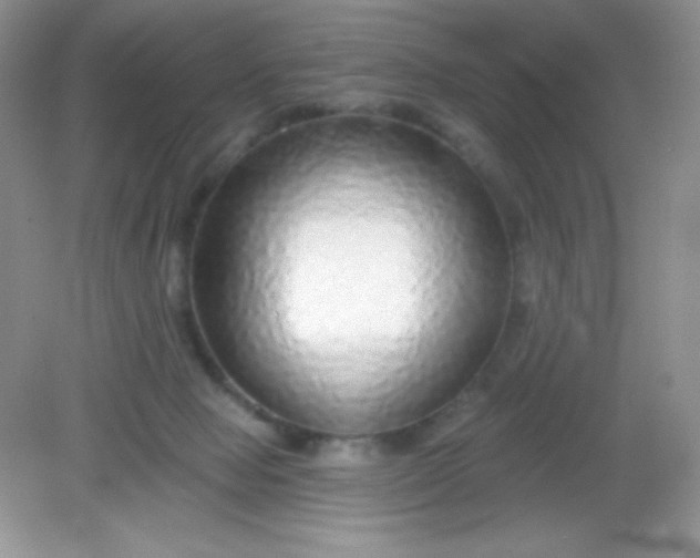 X0000082160077200702021712