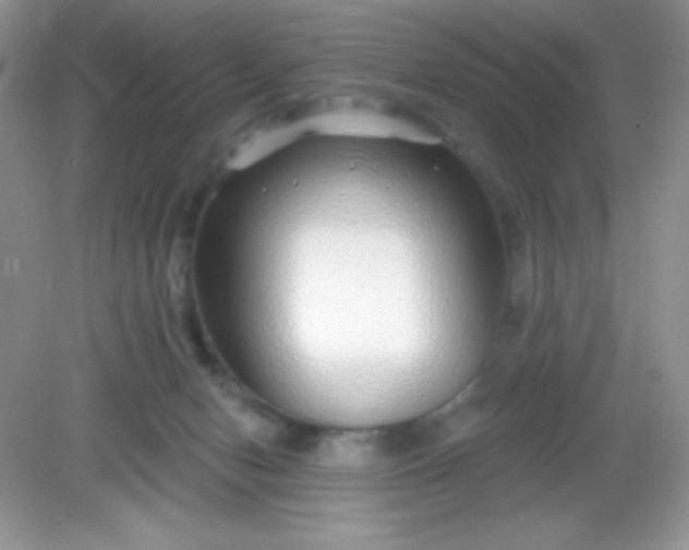 X0000082160078200702021712