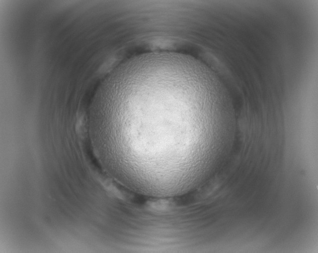 X0000082160079200702021712