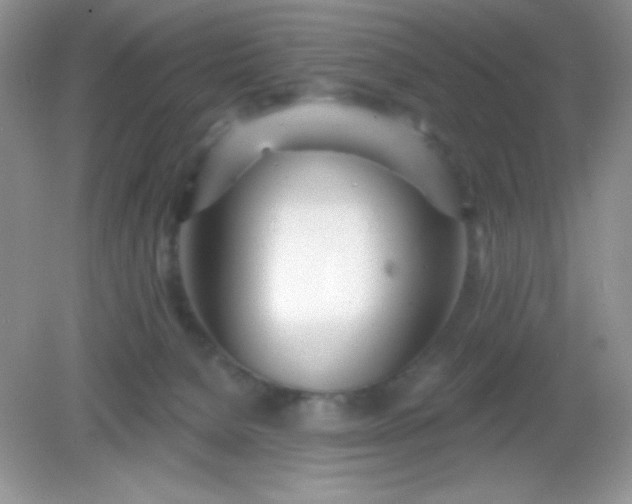 X0000082160080200702021712