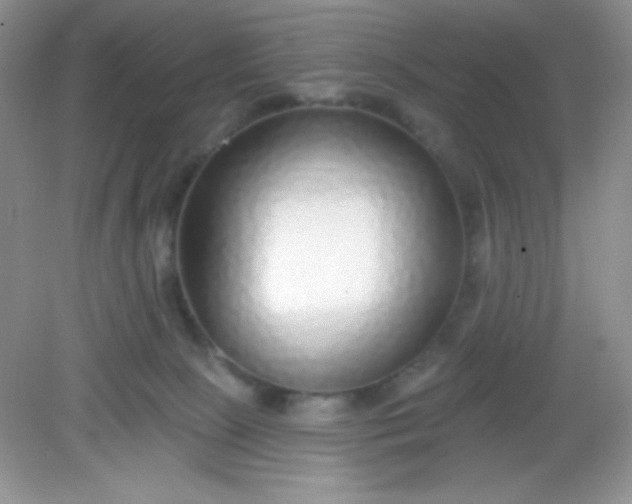 X0000082160081200702021712