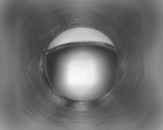 X0000082160082200702021712