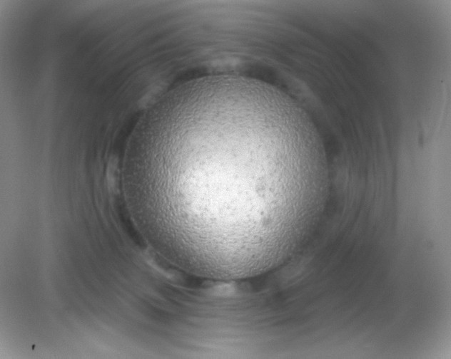 X0000082160083200702021712