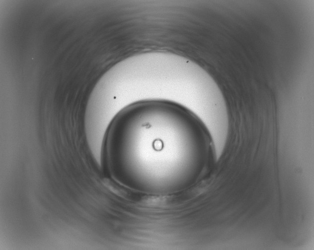 X0000082160084200702021712