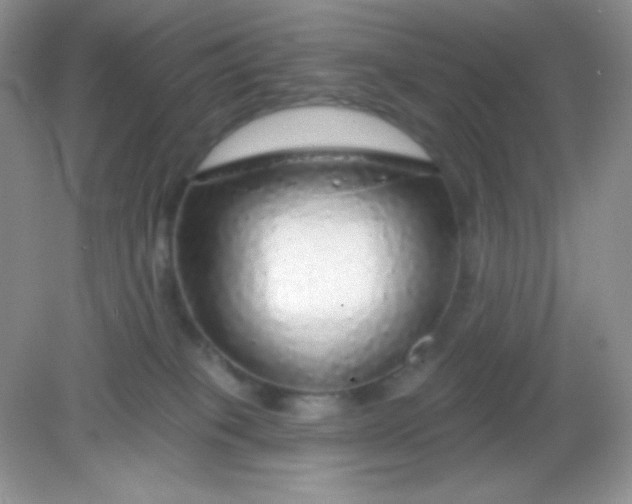 X0000082160085200702021712