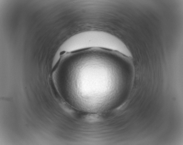 X0000082160086200702021712