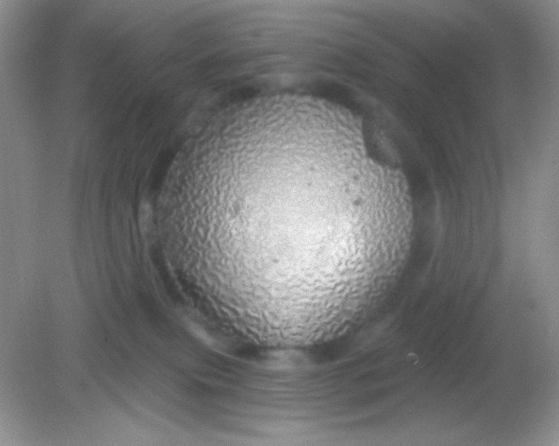 X0000082160087200702021712