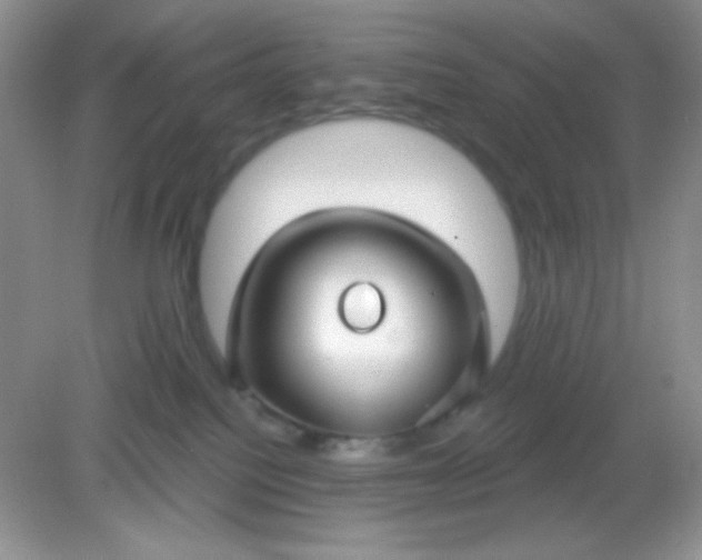 X0000082160088200702021712