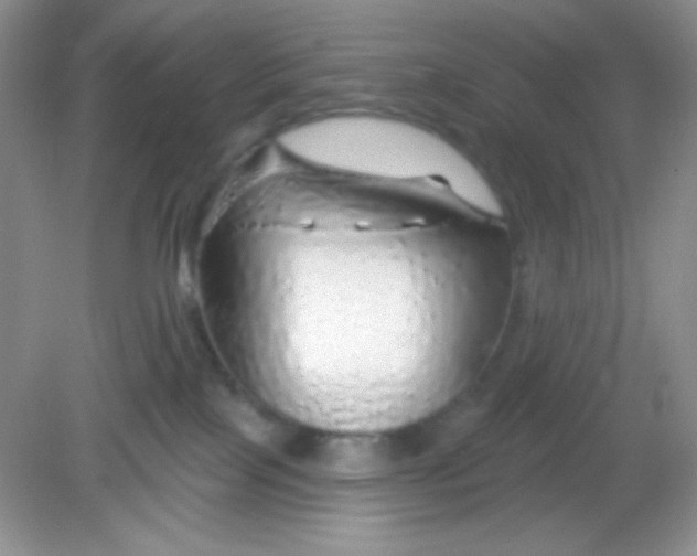 X0000082160089200702021712