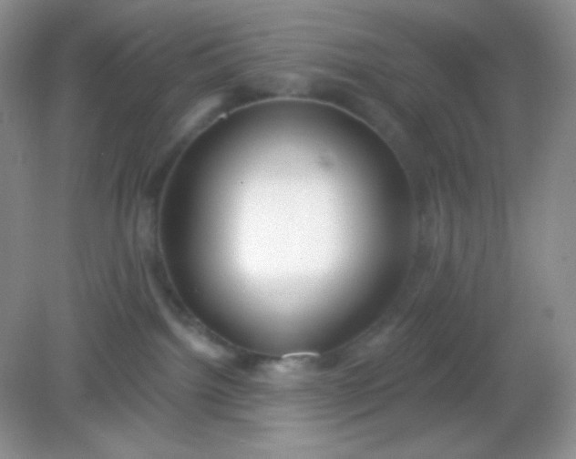 X0000082160092200702021712