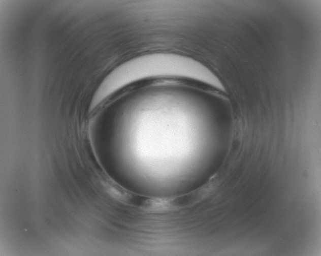 X0000082160093200702021712